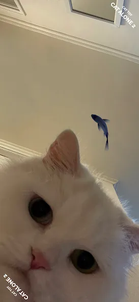 CAT ALONE 2 - Cat Toy (САТ АЛОНЕ 2)  [МОД Все открыто] Screenshot 2